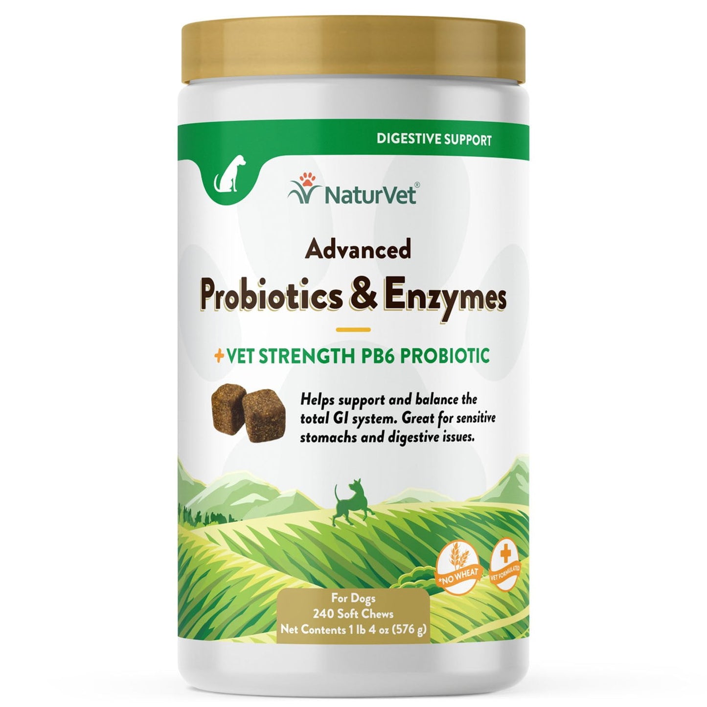 NaturVet Advanced Probiotics and Enzymes Soft Chews for Dogs 240 ct