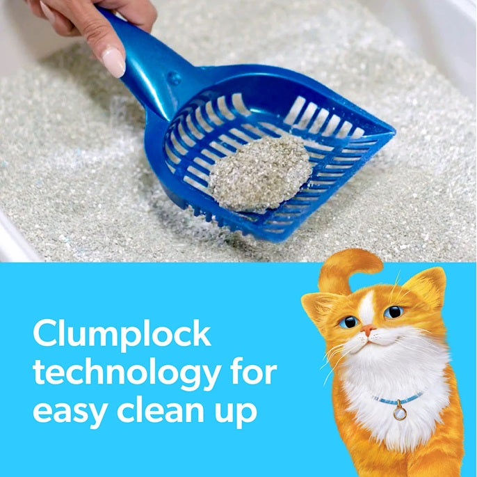 Fresh Step 44lbs 4pack Total Odor Control Clumping Individually Wrapped Value Pack Cat Litter