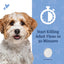 PetArmor CapAction Flea Tabs for Dogs, 12 ct.