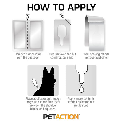 PetAction Pro for Cats and Kittens 8 Month Supply