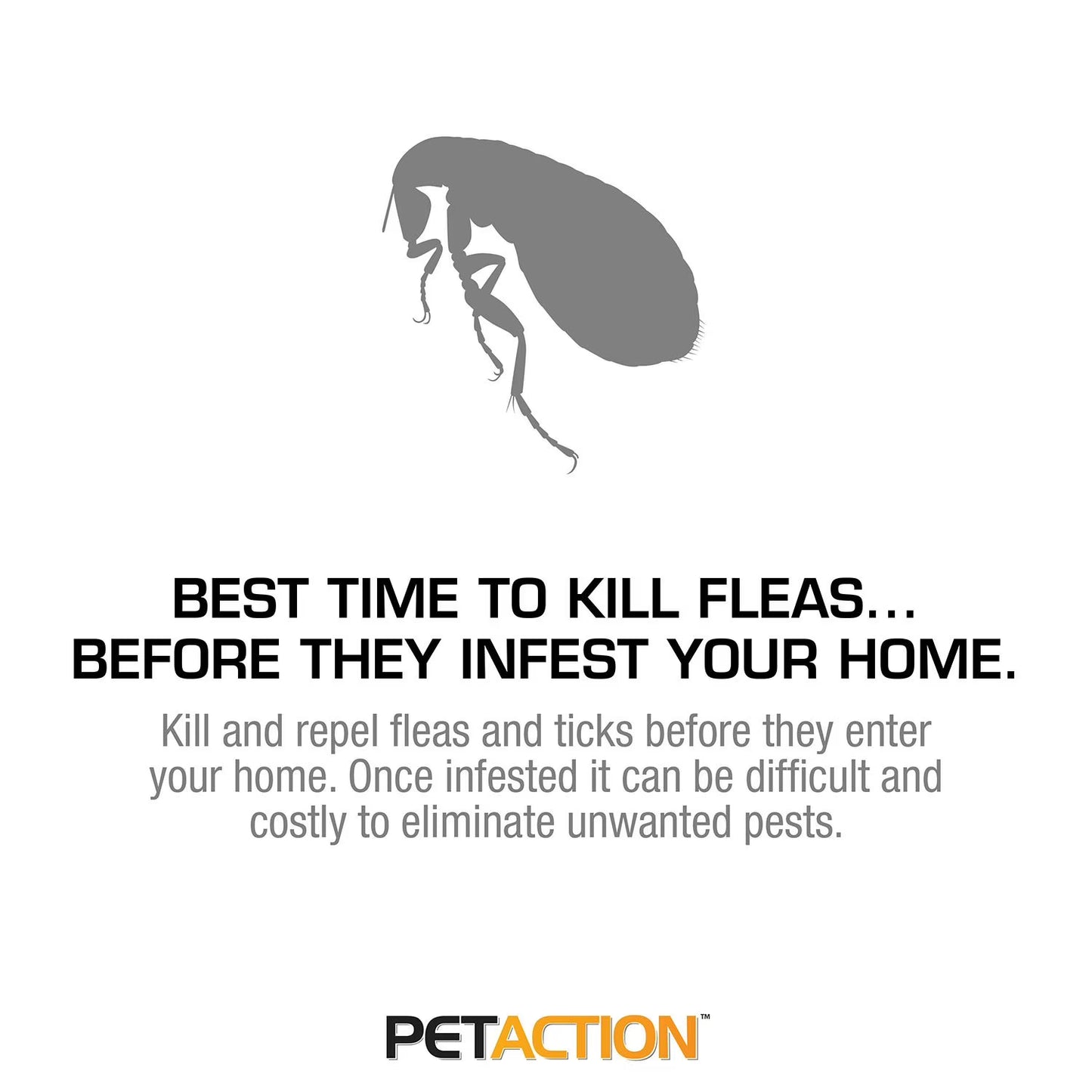 PetAction Pro for Cats and Kittens 8 Month Supply
