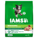 IAMS Proactive Health Minichunks Chicken Recipe Adult Dry Dog Food