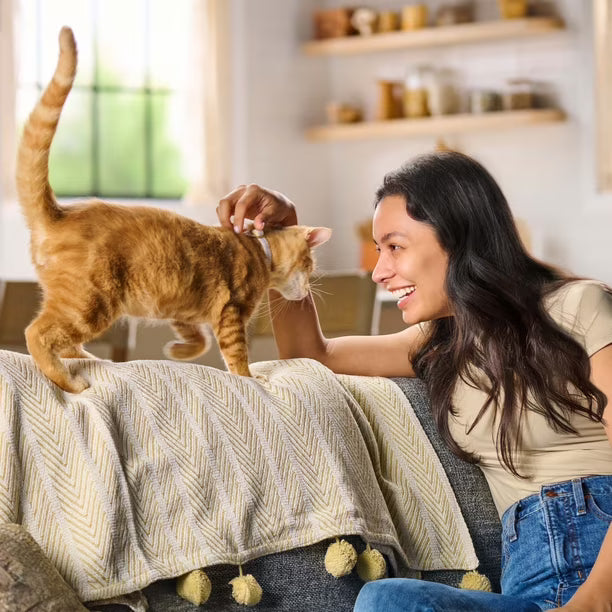 Meow Mix, Original Choice Flavor Adult Dry Cat Food, Heart Healthy & Oral Care Formula, 32 lbs.