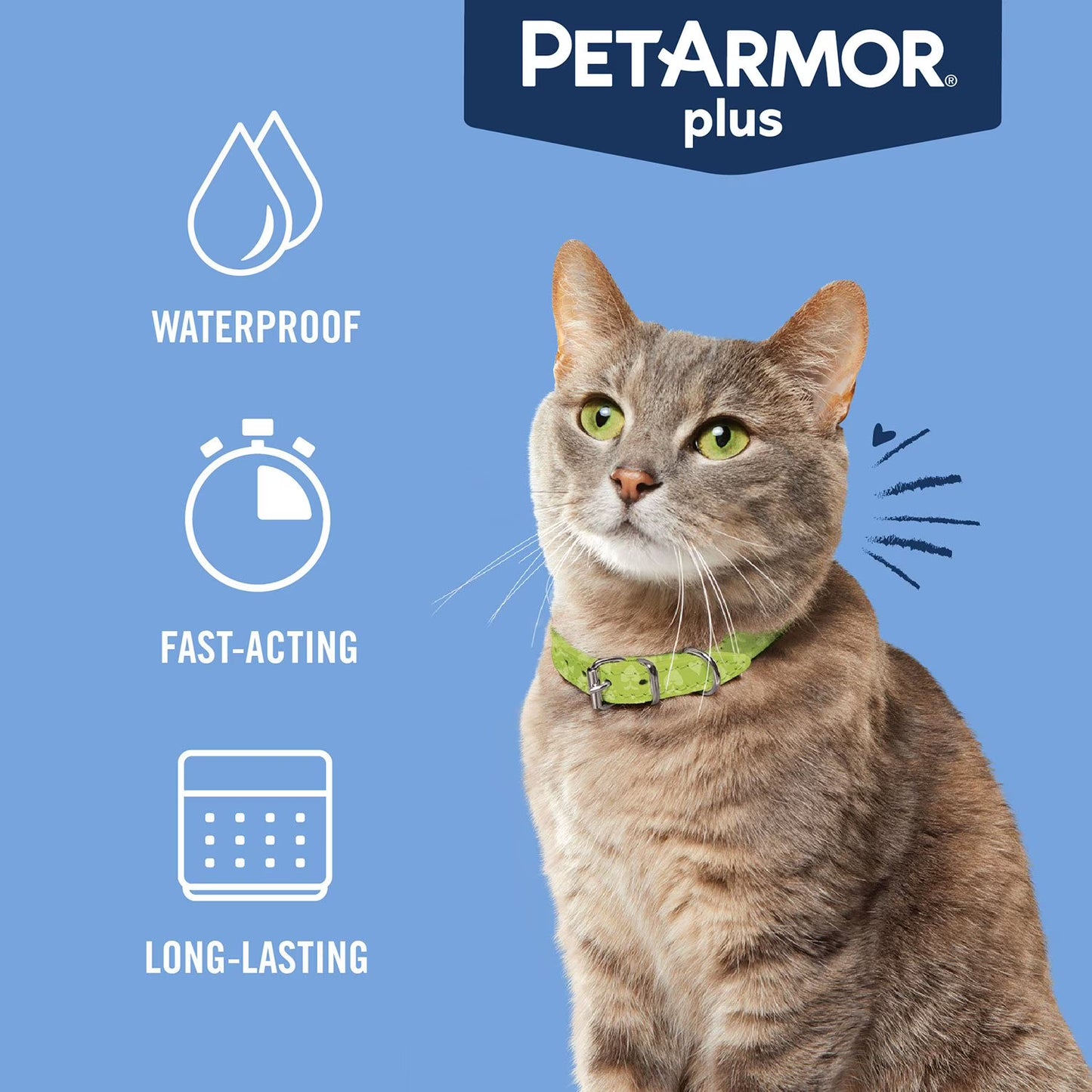 PetArmor Plus Flea & Tick Protection for Cats, 8-Month Supply