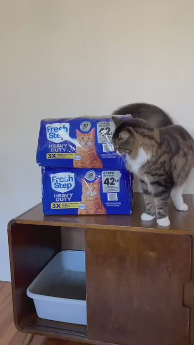 Fresh Step Heavy Duty Multi Cat Clumping Litter with Febreze Freshness, 42 lbs.